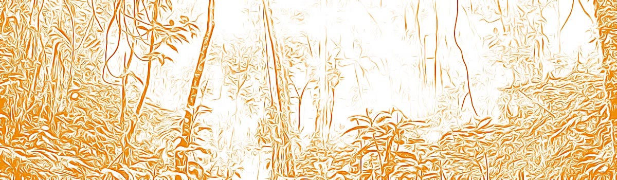 jungle_sketch_orange-small